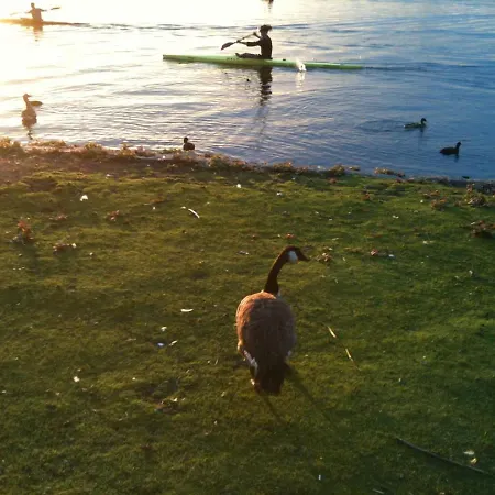 Alster Апартаменты Гамбург