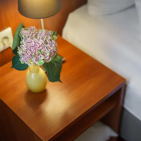 Kronprinz Hauptbahnhof Hotel Hamburgo