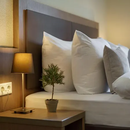 Alster Hotel 3*