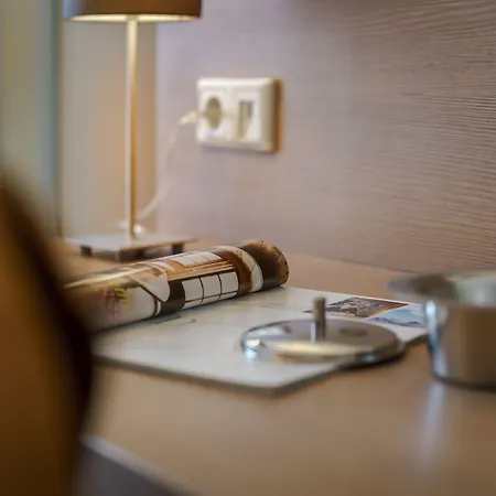 Alster Hotel 3*