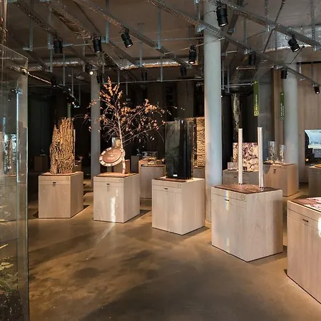 호텔 Raphael Waelderhaus 3*