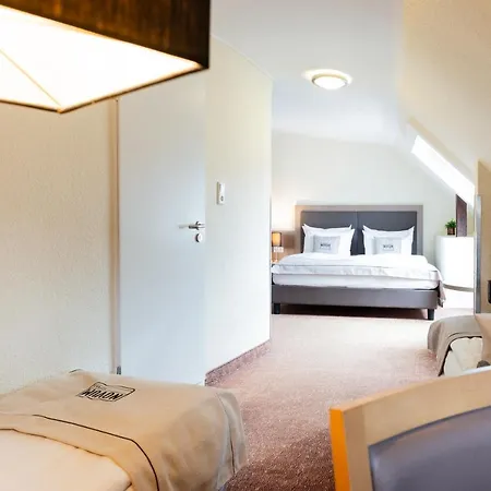 Hotel Alster