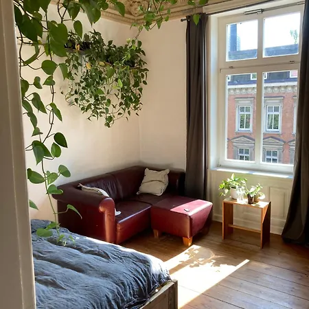 Sonniges Sternschanze Séjour chez l'habitant
