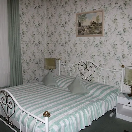 Hotel Hotel-Fink *