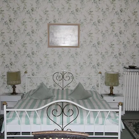 Hotel Hotel-Fink *