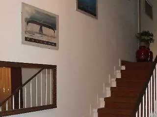 فندق أواسي فندق