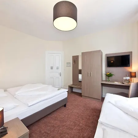 Alster Hotel 3*