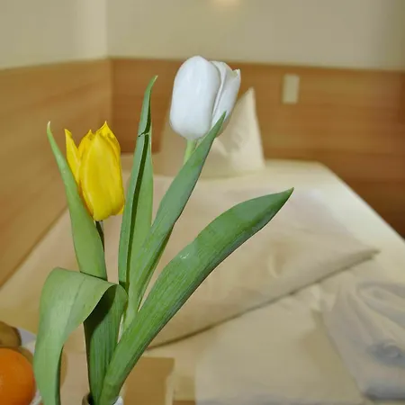Hotel Budapester Hof
