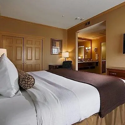 Alster Hotel 3*
