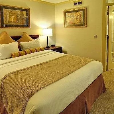 Alster 3* Amburgo