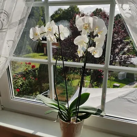 Apartment Blumen *