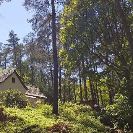 Romantisches Kleines Altes Hauschen Im Zauberwesenwald Hamburg