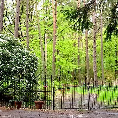 Romantisches Kleines Altes Hauschen Im Zauberwesenwald