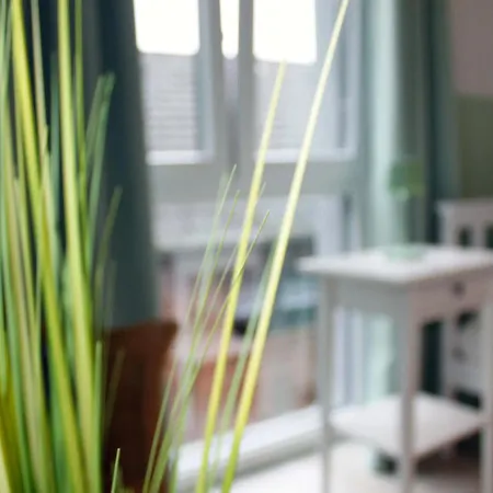 Exklusives Ferienhaus West! Apartment *