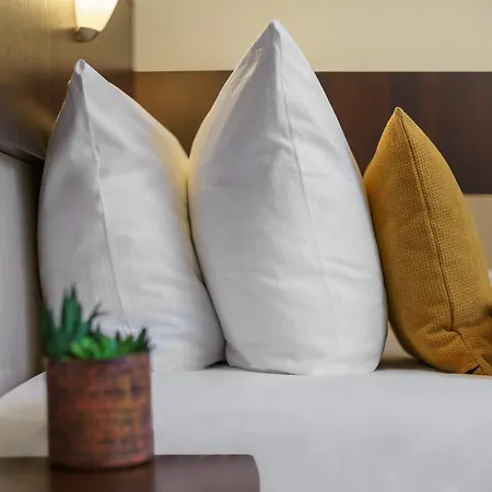 Novum Eleazar Center 4*