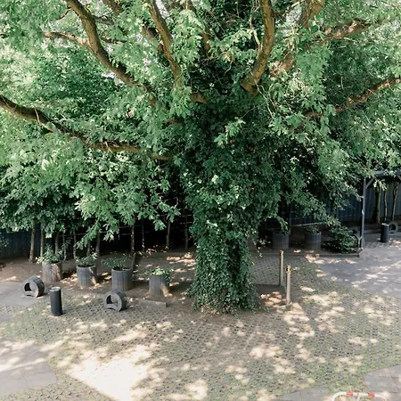 Apartmán Grobo *
