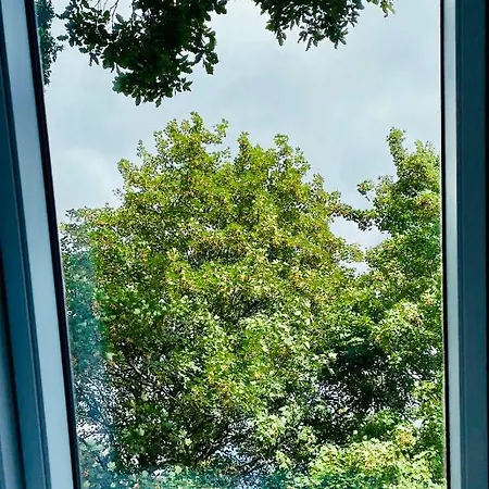 Five Oaks Sky Homestay *