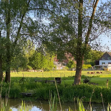 Elbinsel-home 'alpakaliebe' *