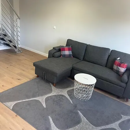 Mitten In Apartment *