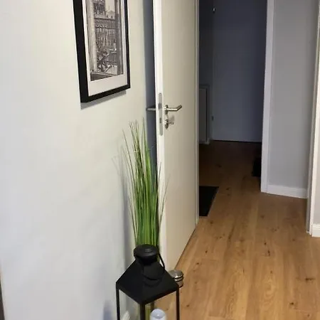 Mitten In Apartment *