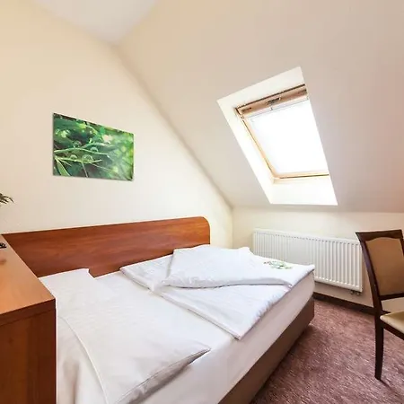 Novum Eleazar Center 4*