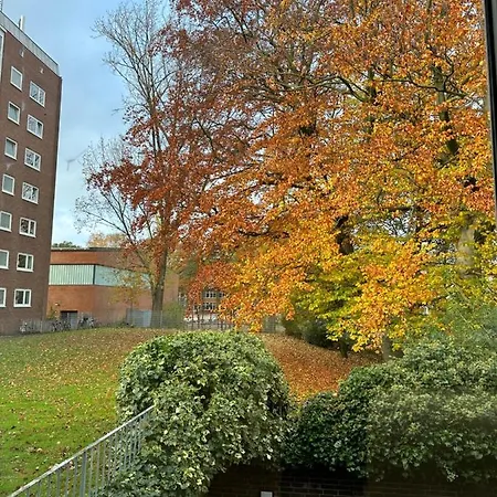 Apartment Moin *