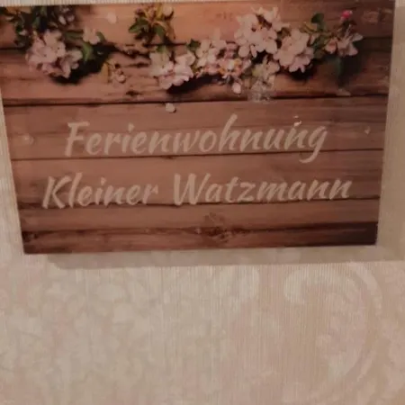 Single Kleiner Watzmann 55 Im Schoenen Sasel *