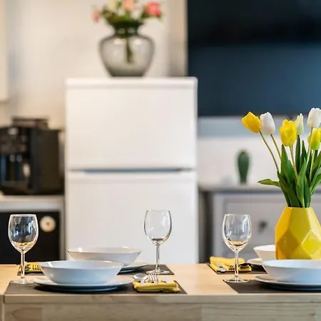Hamburg City Apartment 公寓 汉堡
