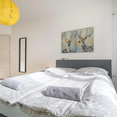 Apartment Schickes Zwei Kostenl Parkm Auf Der Strasse
