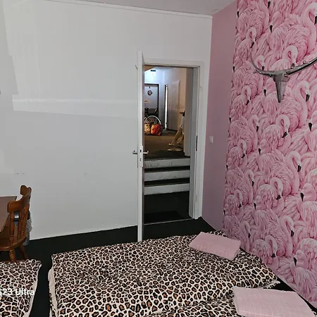 Paulibude Hostal