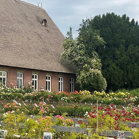 Vierlaender Hippiehof