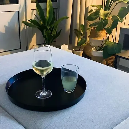 Apartment Lovely With Balcony, *