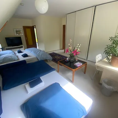 Gartenblick-oase: Obergeschosswohnung In *