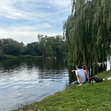 Apartment Zimmer Im Gruenen An Der Alster