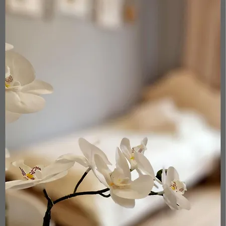 Privatunterkunft My Bed Bergedorf *