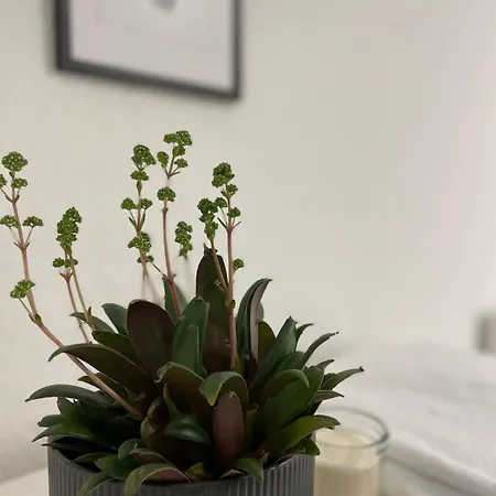 Bright & Modern In