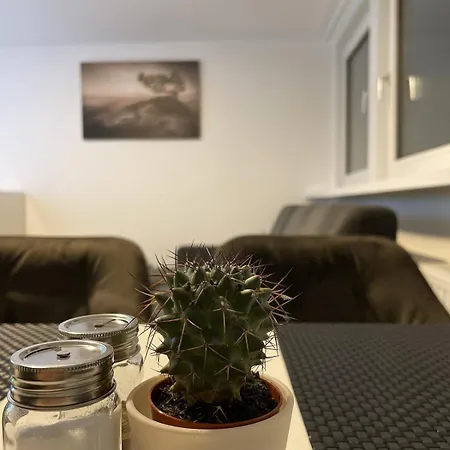 Bright & Modern In