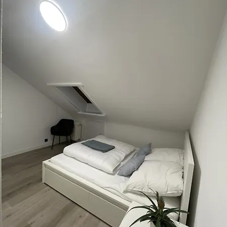 Bright & Modern In Apartment