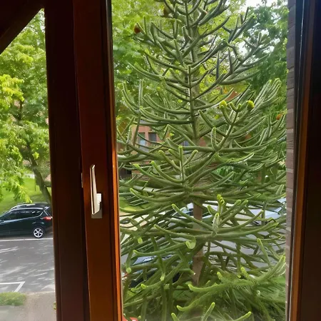 Apartment Gartenblick-oase: Obergeschosswohnung In Hamburg