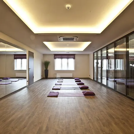 贝斯特韦斯特波特切霍夫酒店 汉堡
