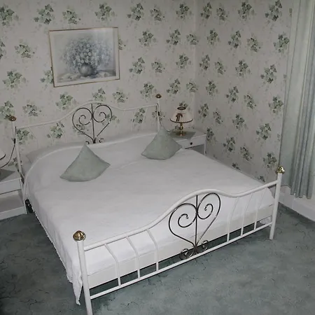 Hotel Hotel-fink *
