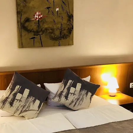 콘도르