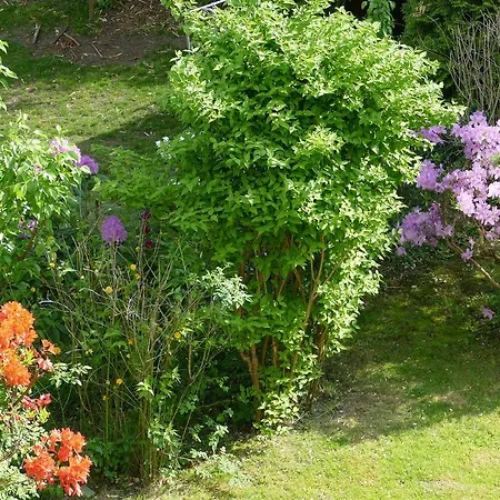 Alsterdorf Homestay