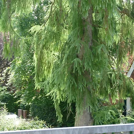 Homestay Alsterdorf