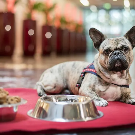 Arcotel Rubin Hotel Hamburgo