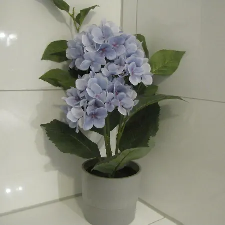 Milano Hotel 3*