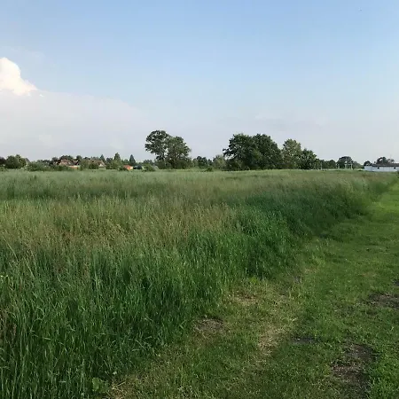 Am Elberadweg * Hamburg