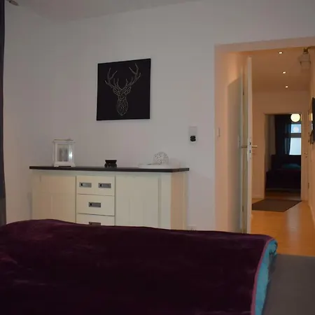 Frickestrasse Apartment