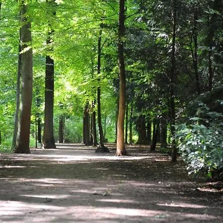 Stadtpark-domizil - 70 Qm, Zentral & Ruhig *