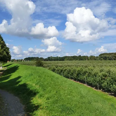 Im Alten Land